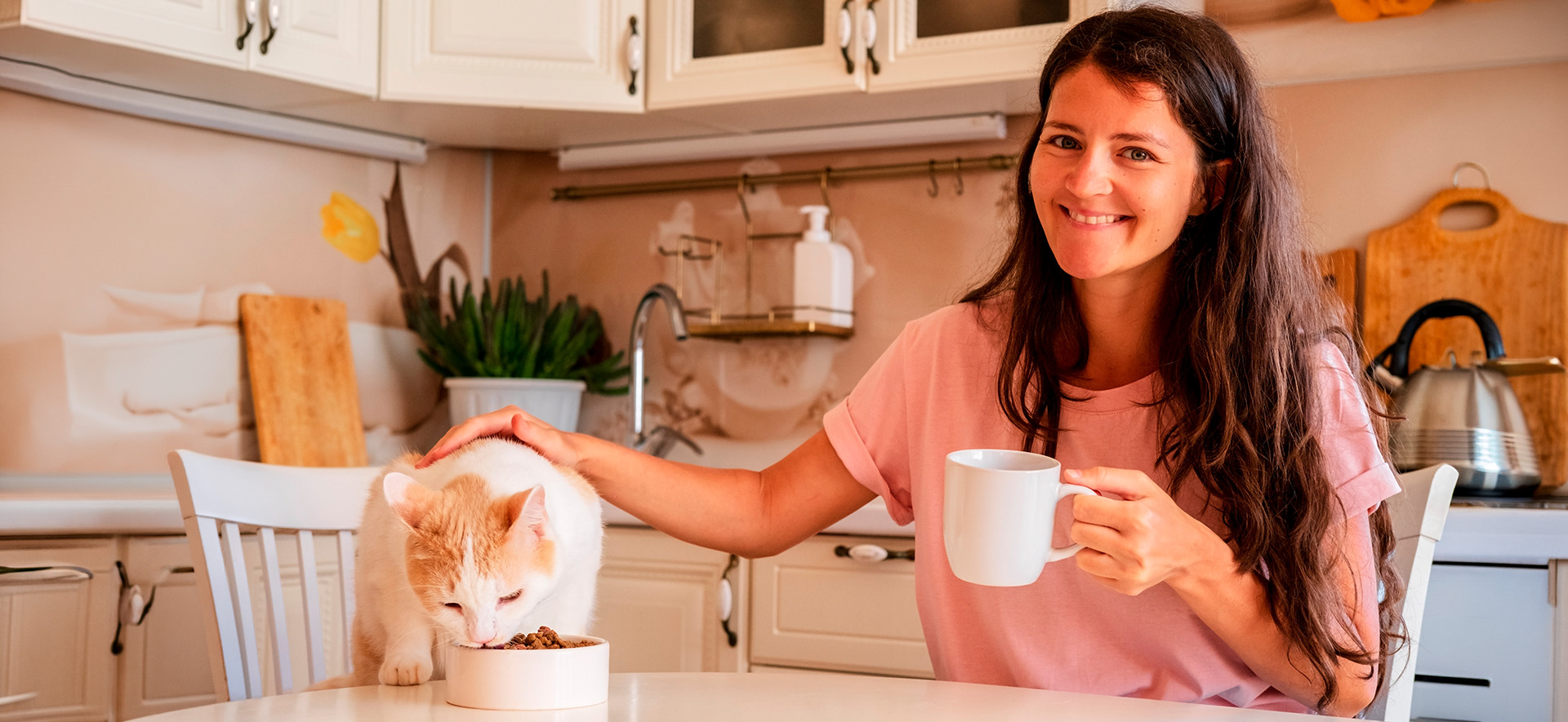 cómo estimular la mente de un gato
